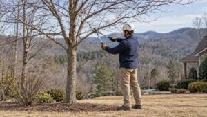 An arborist uses loppers to prune a leafless tree in a foothill yard during winter.
