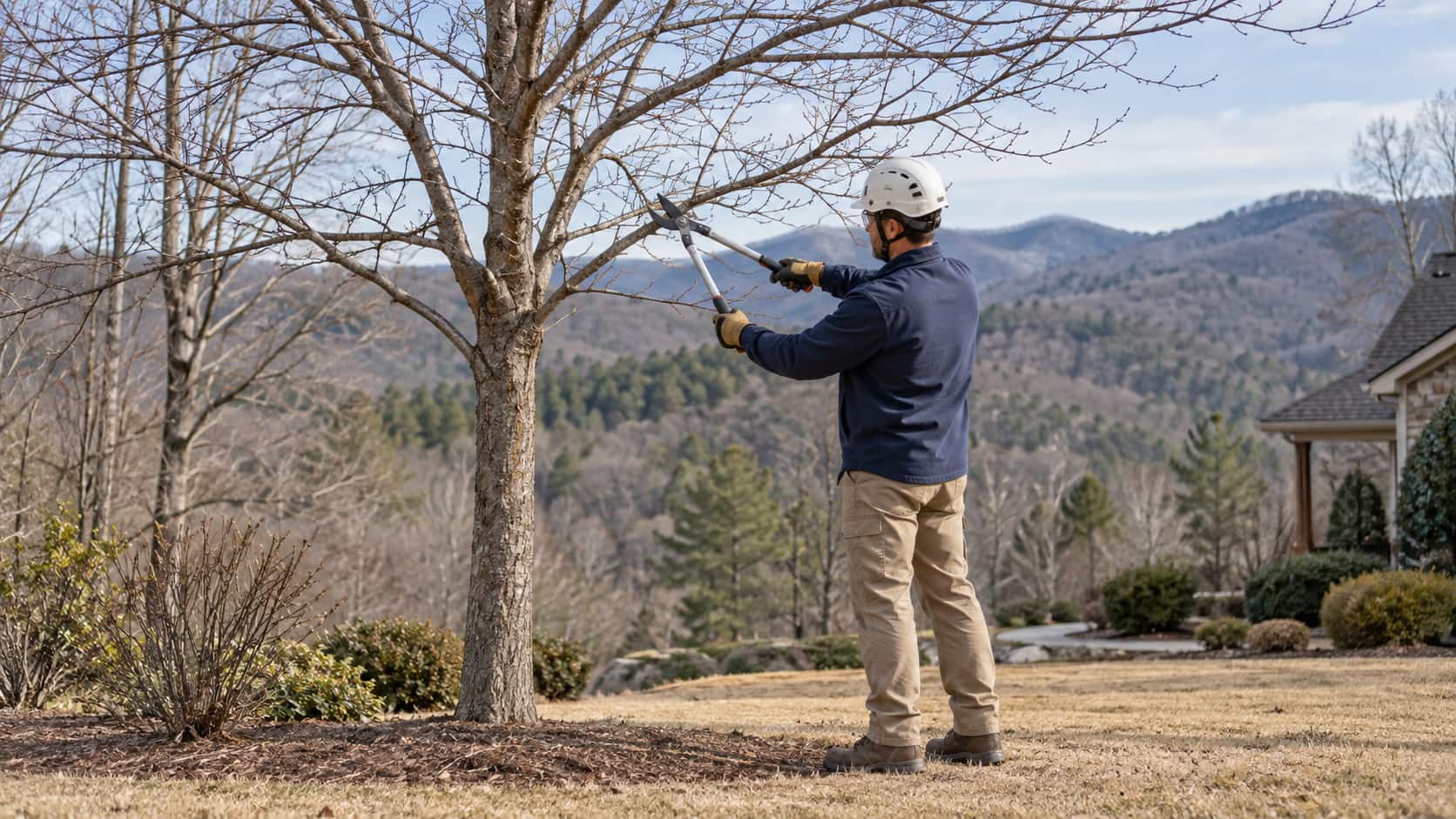 An arborist uses loppers to prune a leafless tree in a foothill yard during winter.